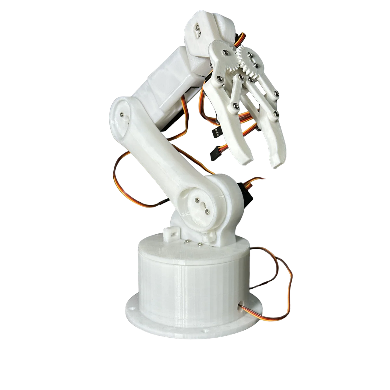 Miniatura 1