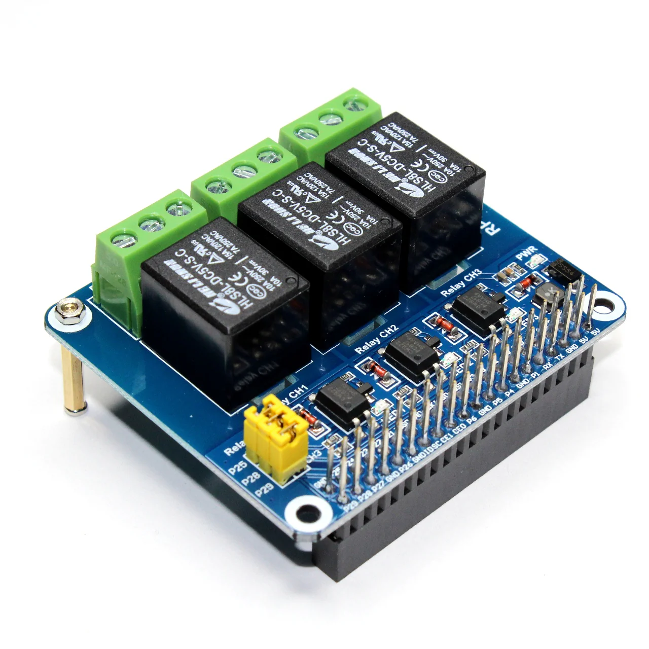 Miniatura 1